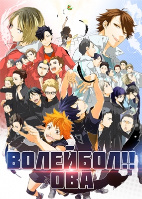 Волейбол!! ОВА / Haikyuu!! OVA