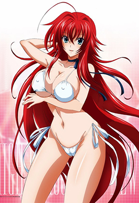 Демоны старшей школы / High School DxD