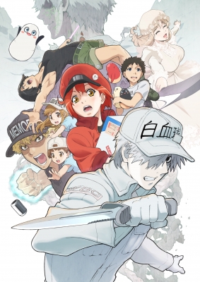 Клетки за работой (второй сезон) / Hataraku Saibou 2nd Season